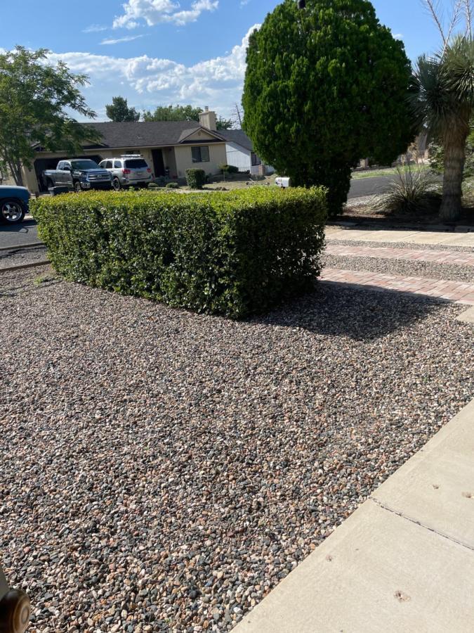All Season Vacation Home! Cottonwood Esterno foto